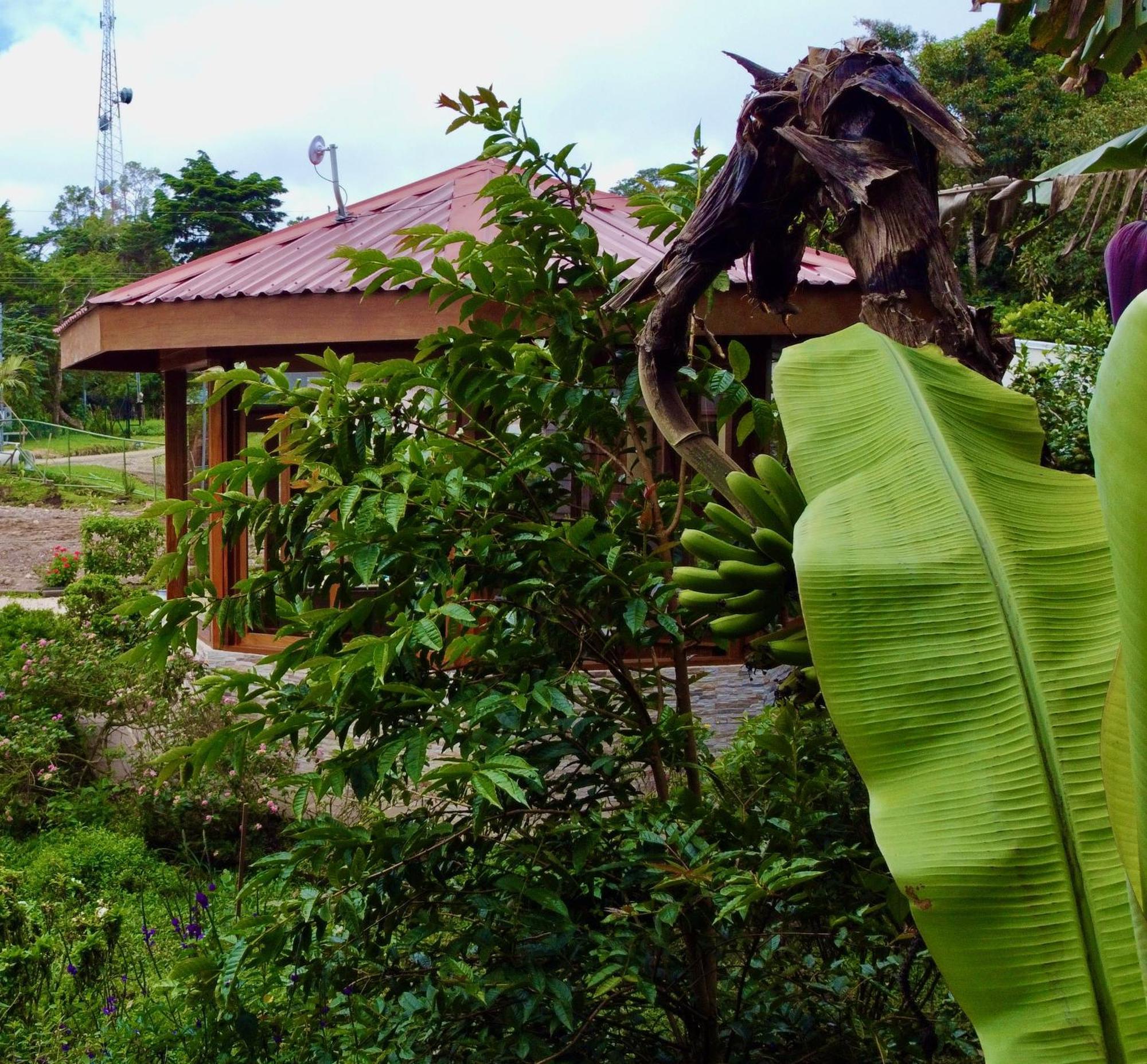 Apartamento Cabina Soan de Montaña Monteverde Exterior foto